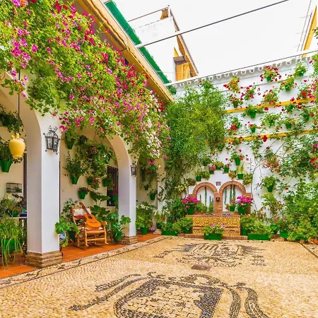 Amplio Y Moderno Lorenzo Ferreira Córdoba