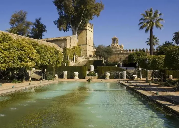 Amplio Y Moderno Lorenzo Ferreira