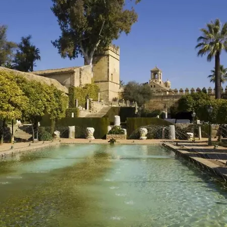 Amplio Y Moderno Lorenzo Ferreira