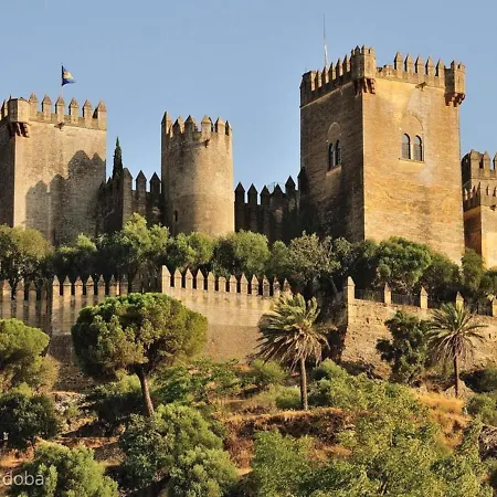 Amplio Y Moderno Lorenzo Ferreira